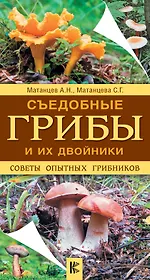 Съедобные грибы и их двойники. Советы опытных грибников