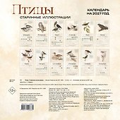 Календарь 2027г 300*300 "Птицы. Старинные иллюстрации" настенный, на скрепке - 1