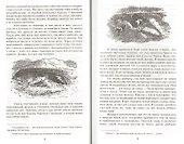 Путешествия Лемюэля Гулливера - 2