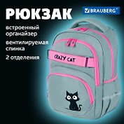 Рюкзак школьный для девочек "Crazy cat"  41*28*17см, 2 отделения, 3 кармана, с карманом для ноутбука, Brauberg