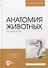 Анатомия животных. Практикум: учебное пособие для вузов - 0