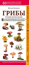 Грибы русских лесов и полей. Наглядный карманный определитель