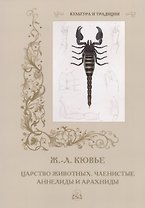 Царство животных. Членистые. Аннелиды и арахниды