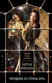 Чародейка из страны бурь: роман