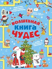 Волшебная книга чудес