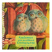 Альбом для рисования карандашами "Совы", 20 листов, на гребне