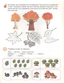 Развиваем речь. Рабочая тетрадь. 4-5 лет - 2