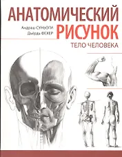 Анатомический рисунок. Тело человека