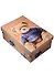 Коробка подарочная "Мишка" 18*12*7см, картон - 0