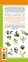 Цветы и травы. Мир удивительных растений. Наглядный карманный определитель - 1