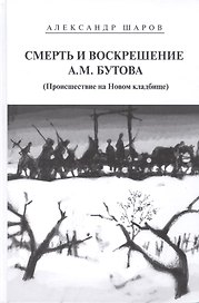 Смерть и воскрешение А.М.Бутова (Происшествие на Новом кладбище). Роман