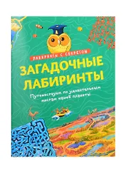 Загадочные лабиринты. Путешествуем по удивительным местам