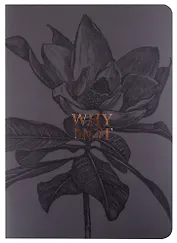 Тетрадь в клетку Be Smart, Aesthetics, 48 листов