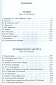 Сказки о фее: Чудище. История одного амулета - 1