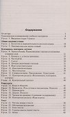 Русский язык. 5 класс. Поурочные разработки к УМК Ладыженской - 2