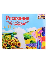 Набор для раскрашивания по номерам ТМ Рыжий Кот Холст Яркий Бангкок 40х50см Х-3544