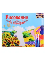 Набор для раскрашивания по номерам ТМ Рыжий Кот Холст Яркий Бангкок 40х50см Х-3544