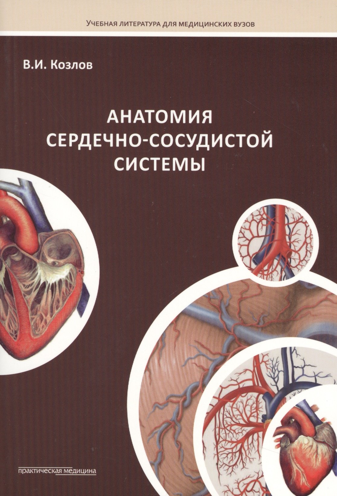 Общие вопросы медицины Анатомия сердечно-сосудистой системы: учебное пособие для студентов медицинских вузов