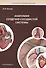 Анатомия сердечно-сосудистой системы: учебное пособие для студентов медицинских вузов - 0