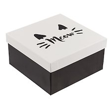 Подарочная коробка «Meow», 15 х 15 см