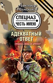 Адекватный ответ : роман