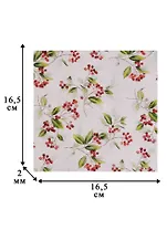 Набор салфеток для декупажа Зимние ягоды (33310515/33310505) (2 шт.) (3+) (упаковка)