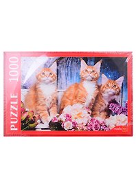 Пазл «Рыжие котята мейн-кун» 1000 элементов, Greate me