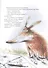 Кафе "Птичий Хвост". Из историй о Лисе и Поросенке - 2