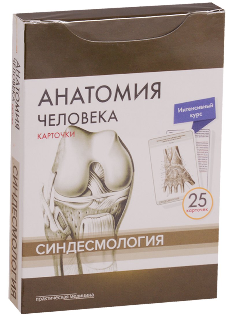 

Анатомия человека. Синдесмология (25 карточек)