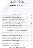 Стихи о Прекрасной Даме: стихотворения, поэма - 2