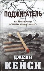 Поджигатель : [роман]
