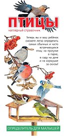 Птицы. Наглядный справочник