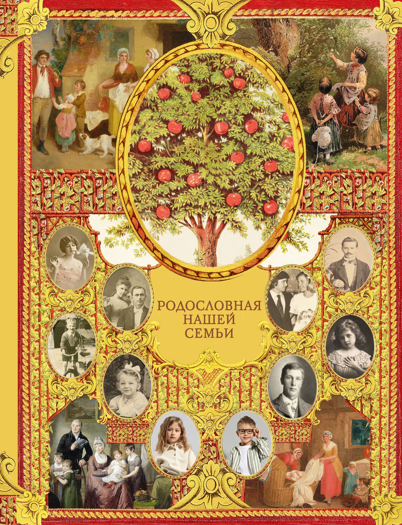 

Родословная нашей семьи