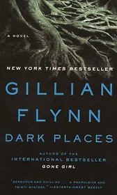 Dark Places (м) Flynn