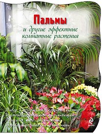 Пальмы и другие эффектные комнатные растения.