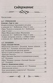 Сочинение в кармане дп - 1