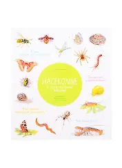 Насекомые и другие маленькие животные