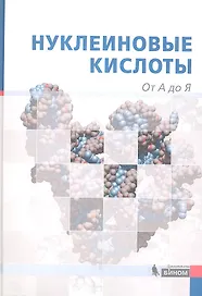 Нуклеиновые кислоты : от А до Я