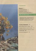 Красивые клумбы. Иллюстрированный справочник цветов, кустарников и растений - 1