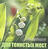 Растения для тенистых мест