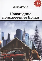 Новогодние приключения Ночки