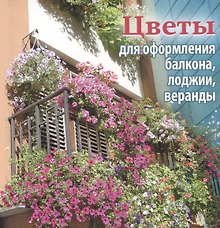 Цветы для оформления балкона, лоджии, веранды