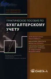 Практическое пособие по бухгалтерскому учету
