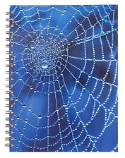 Тетрадь А4 120л лин. "Паутина" 7БЦ, евроспираль,глянц.ламин.