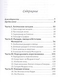 Передразнить пересмешника и другие логические загадки…(м) Смаллиан - 1