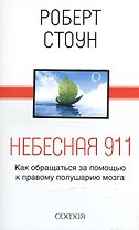 Небесная 911