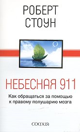 Небесная 911