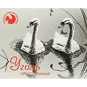 Уголь прессованный, 10 штук