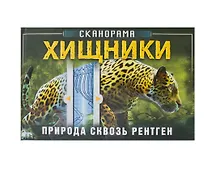 Хищник