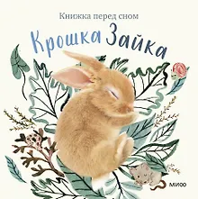 Крошка Зайка